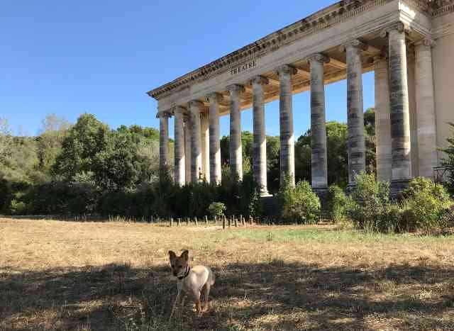 Roman theatre ruins in the south of France.